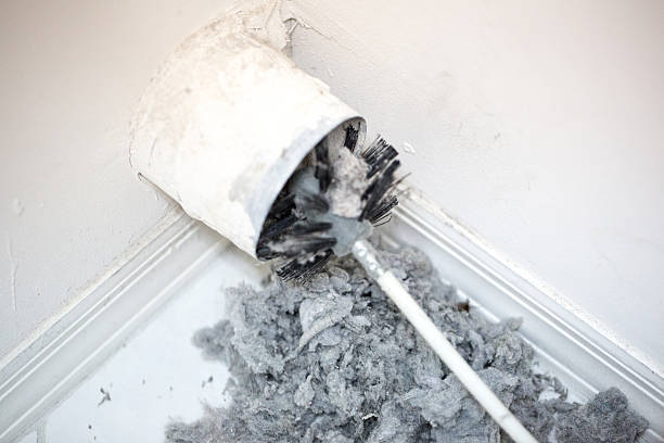 Best Local Air Duct Cleaning Services  in Tyndall Af, FL